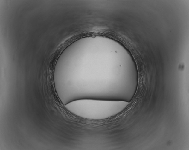 X0000097661158200802290915