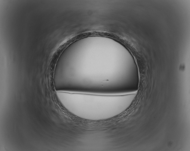 X0000097661159200802290915