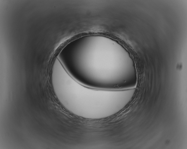 X0000097661160200802290915