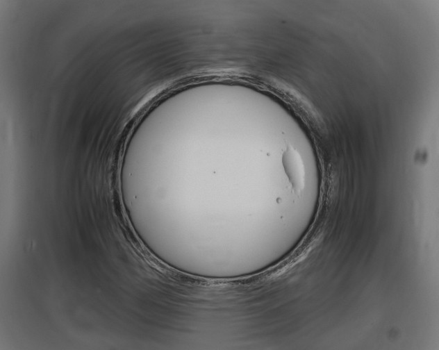 X0000097661162200802290915