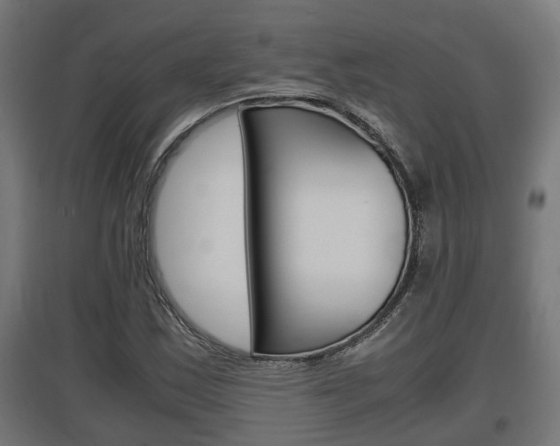 X0000097661163200802290915