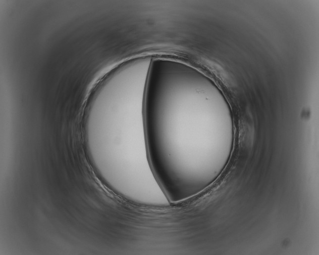 X0000097661164200802290915