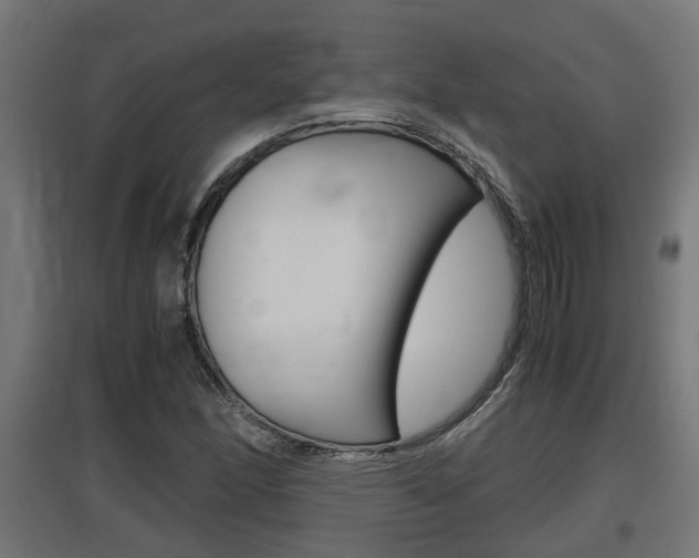 X0000097661166200802290915
