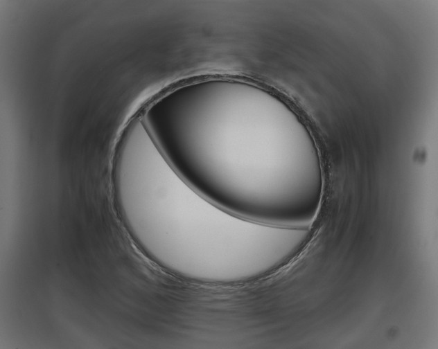 X0000097661168200802290914