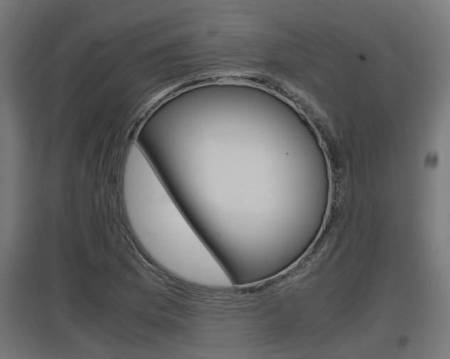 X0000097661169200802290914