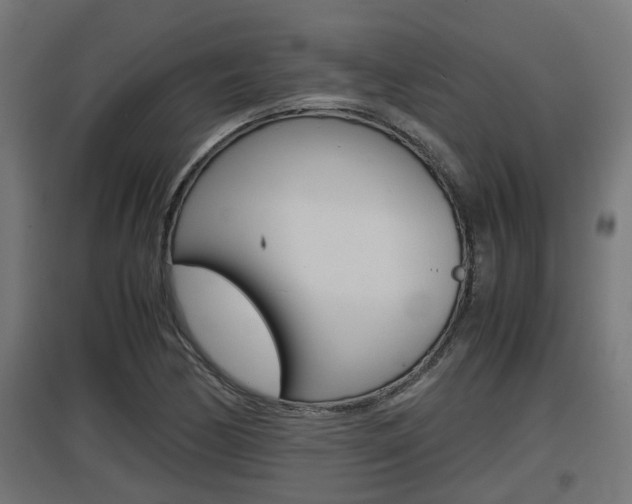 X0000097661170200802290914