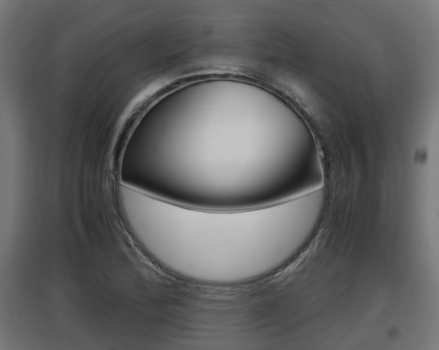 X0000097661172200802290914