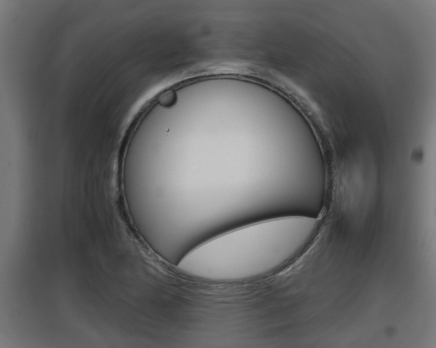 X0000097661174200802290914