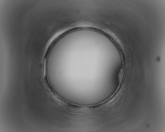 X0000097661175200802290914