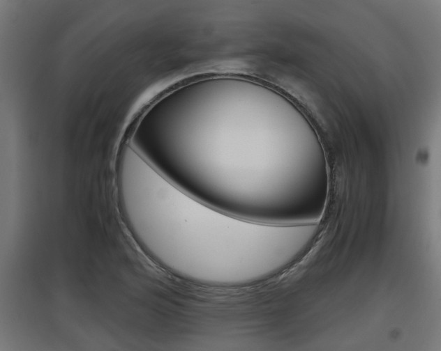 X0000097661176200802290914
