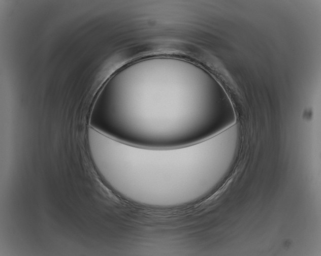X0000097661177200802290914