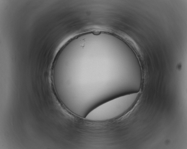 X0000097661182200802290914
