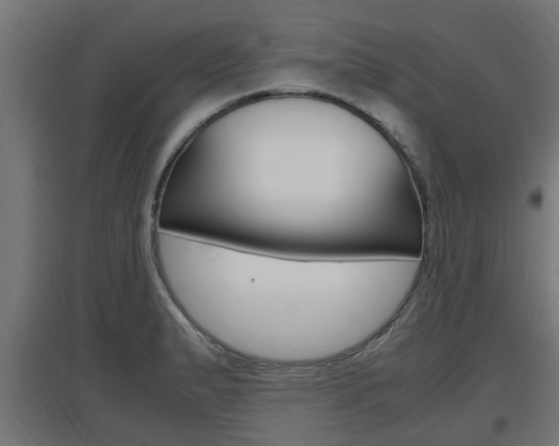 X0000097661183200802290914