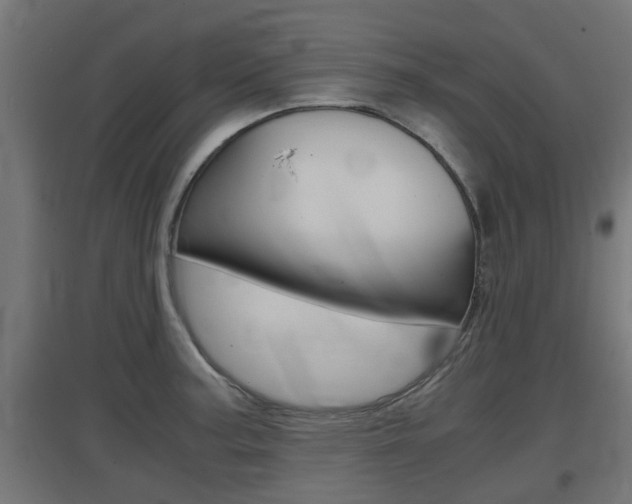 X0000097661187200802290914