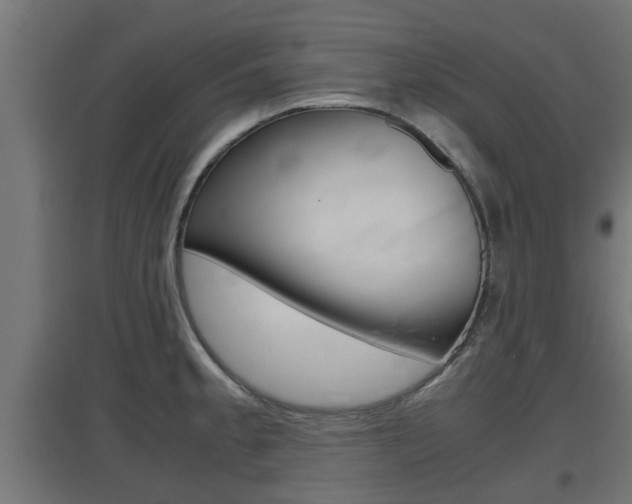 X0000097661189200802290914