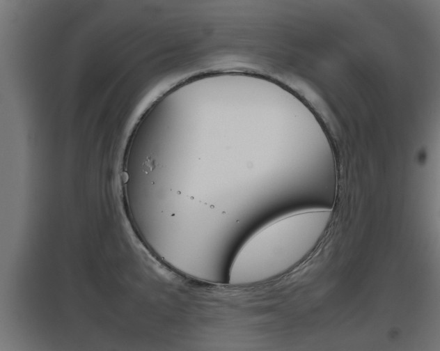 X0000097661191200802290914