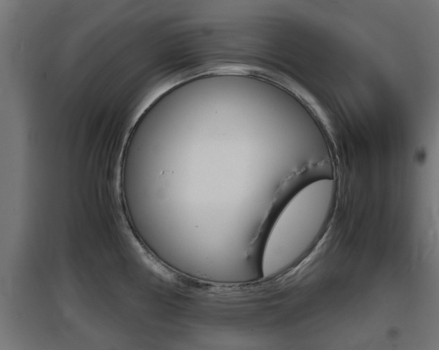 X0000097661194200802290914