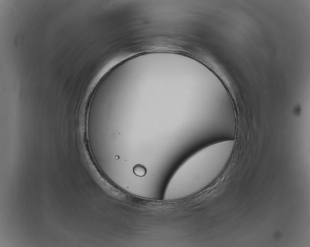 X0000097661195200802290914