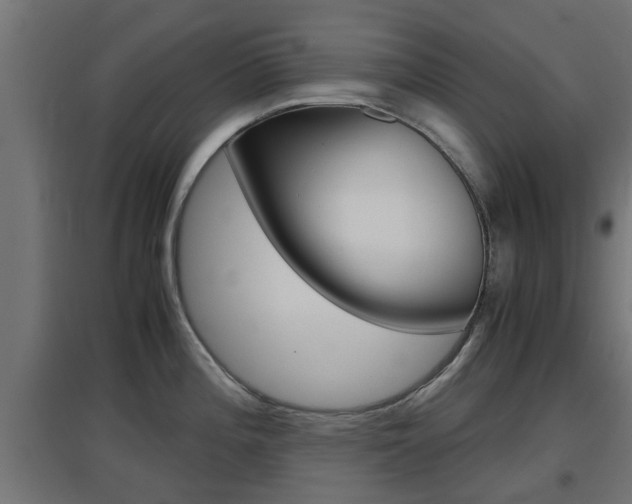 X0000097661196200802290914