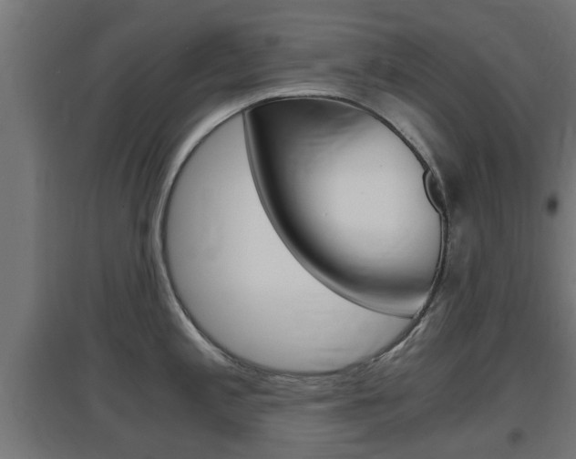 X0000097661197200802290914