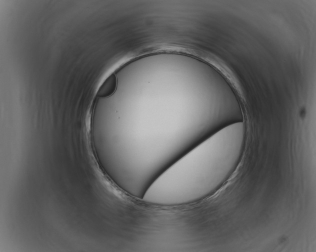 X0000097661198200802290914