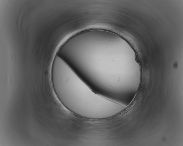 X0000097661199200802290914