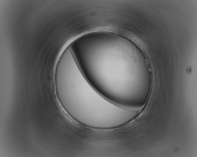 X0000097661200200802290914