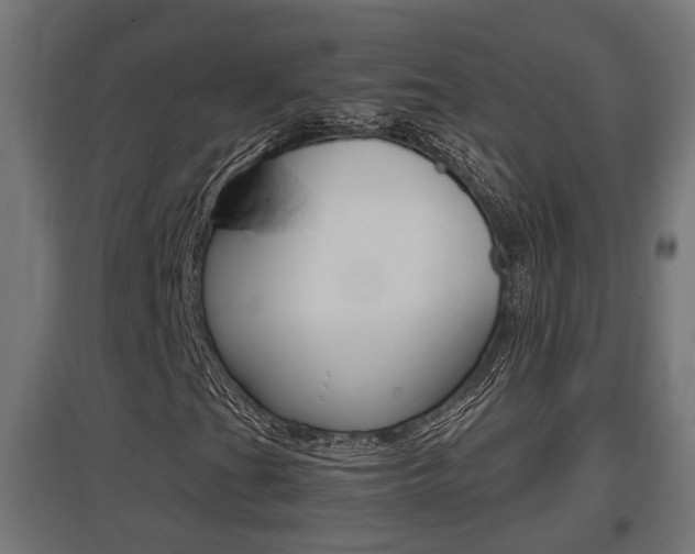 X0000097661201200802290913