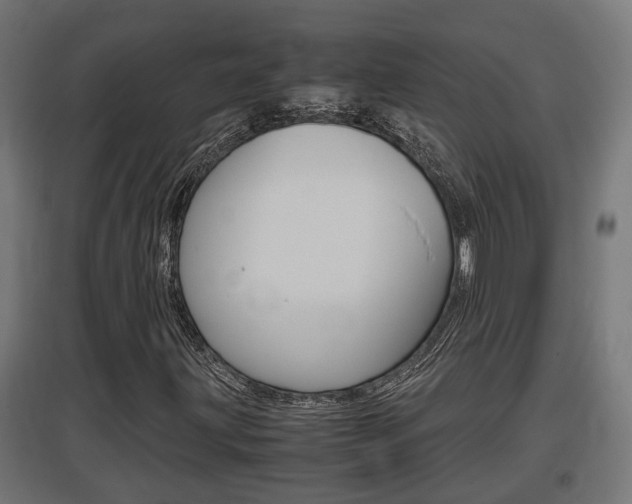 X0000097661203200802290913