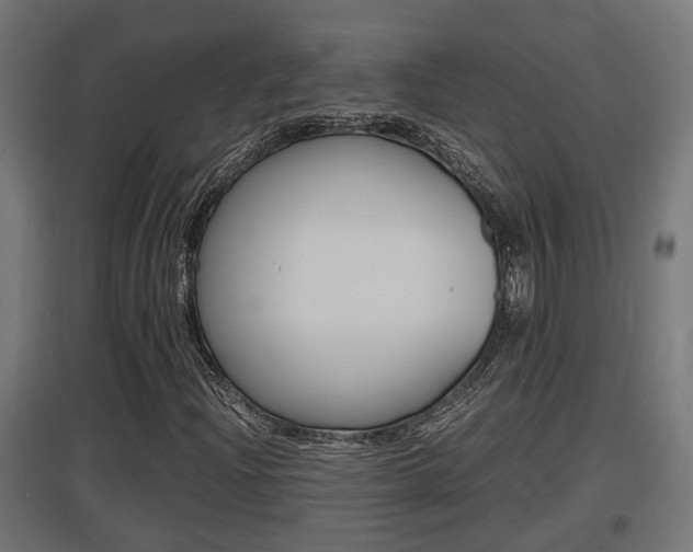 X0000097661204200802290913