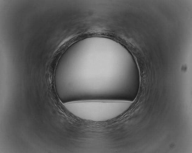 X0000097661206200802290913