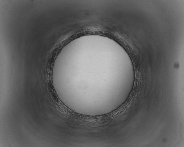 X0000097661207200802290913
