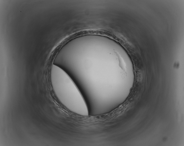 X0000097661208200802290913