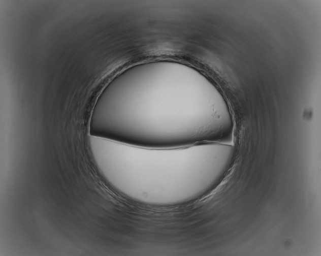 X0000097661209200802290913