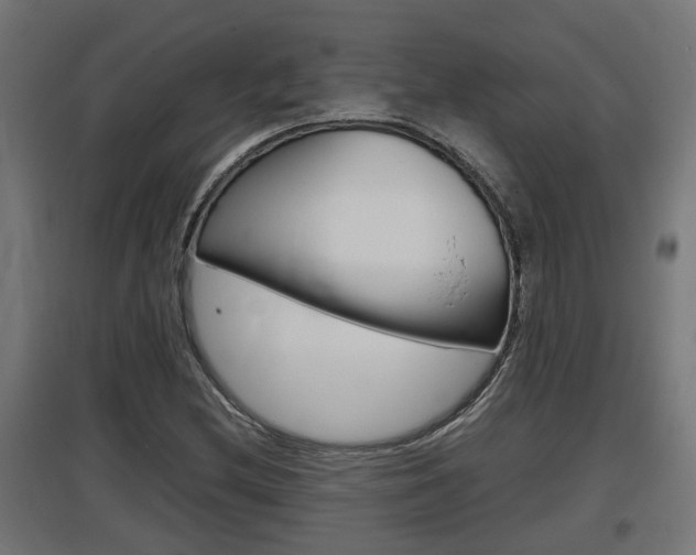 X0000097661212200802290913