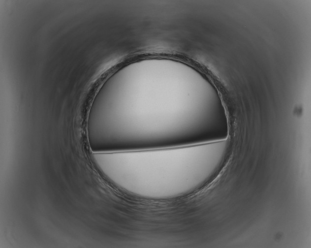X0000097661213200802290913