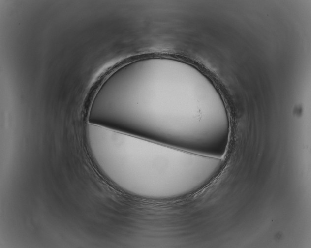X0000097661214200802290913