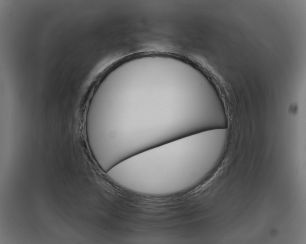X0000097661215200802290913