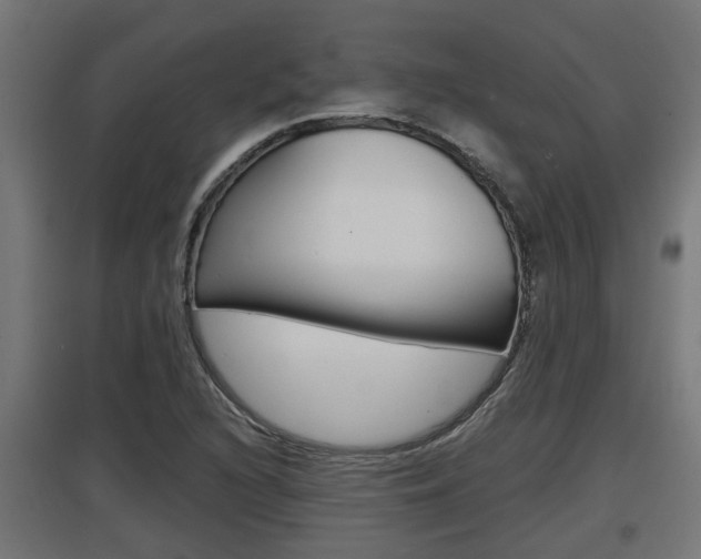 X0000097661216200802290913