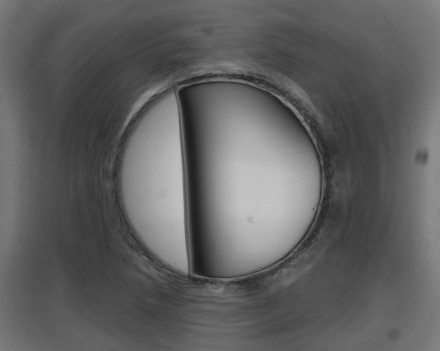 X0000097661218200802290913