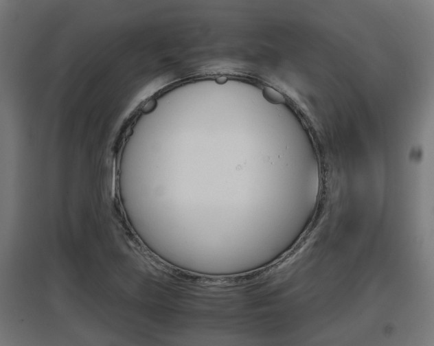 X0000097661219200802290913
