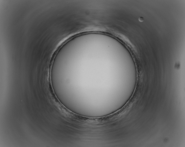 X0000097661220200802290913