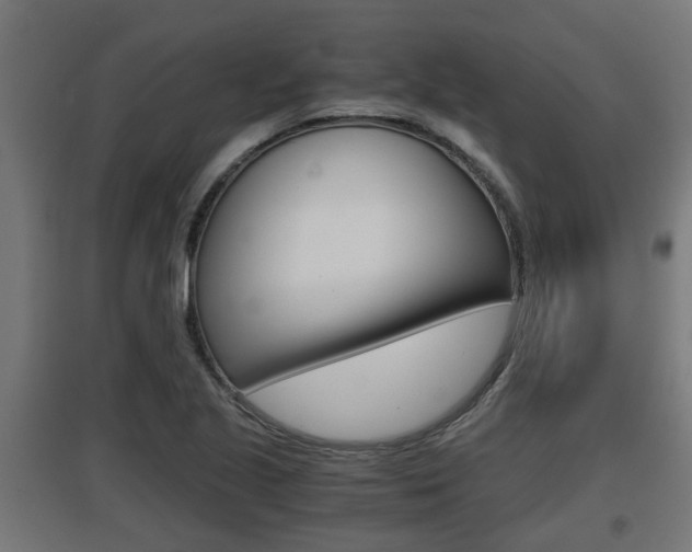 X0000097661221200802290914