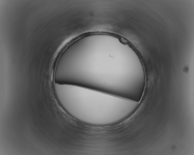 X0000097661224200802290914