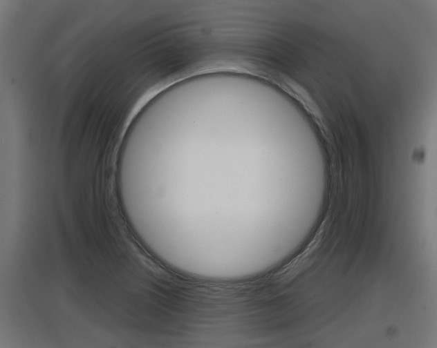 X0000097661226200802290914