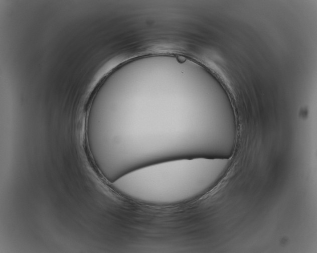 X0000097661227200802290914