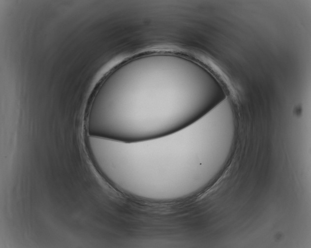 X0000097661229200802290914
