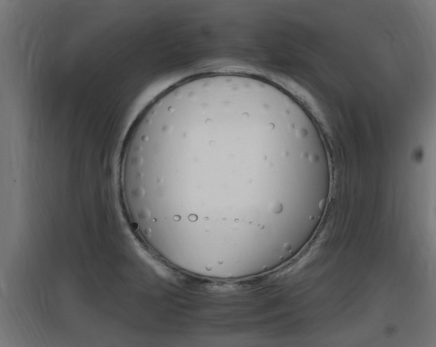 X0000097661231200802290914