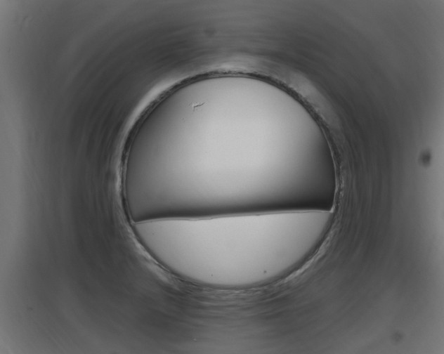 X0000097661232200802290914