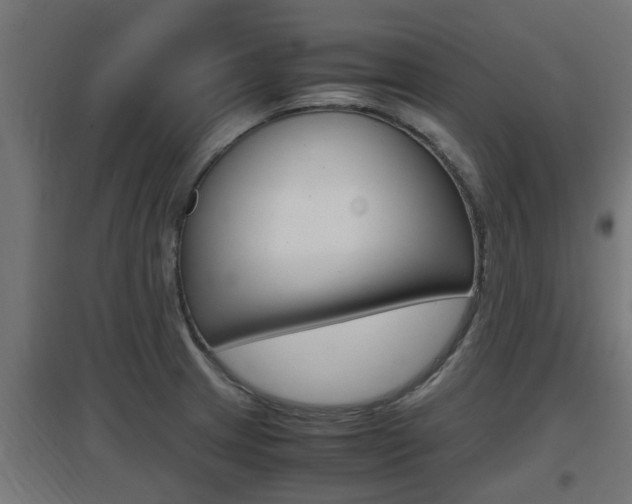 X0000097661233200802290914